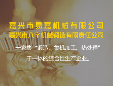嘉興市易嘉機(jī)械有限公司2023 年度綠色低碳發(fā)展年度報告